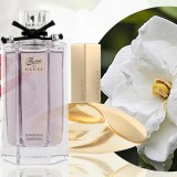 gardenia-perfumes