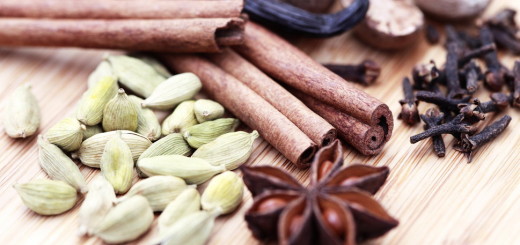 spices-cinnamon-vanilla-star-anise-cloves-cardamom